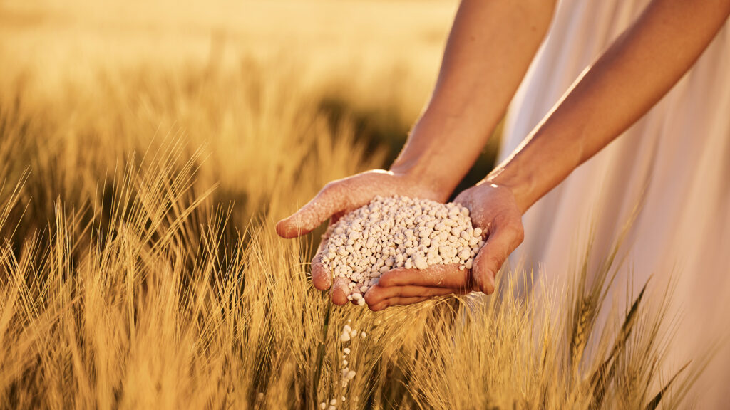 Picture of hands with seeds overflowing