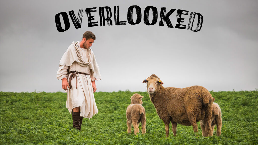 Shepherd boy in field with his sheep by himself